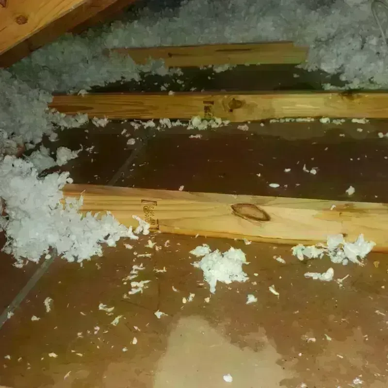 Attic Water Damage in Sweetwater, TX