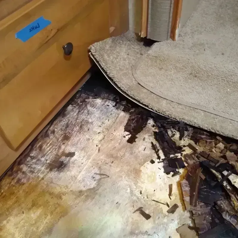 Wood Floor Water Damage in Sweetwater, TX